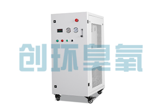 海东石斑鱼养殖水质调控完整指南:臭氧发生器配置与操作步骤