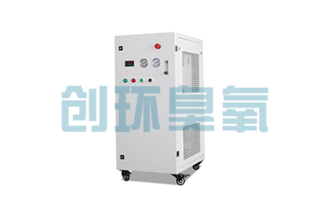 海东比传统换水更高效?臭氧发生器在石斑鱼养殖中的水质净化原理解析