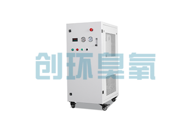 海东比传统换水更高效?臭氧发生器在石斑鱼养殖中的水质净化原理解析